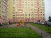 Сдам 1к.кв. п.Колтуши без посредников!!!